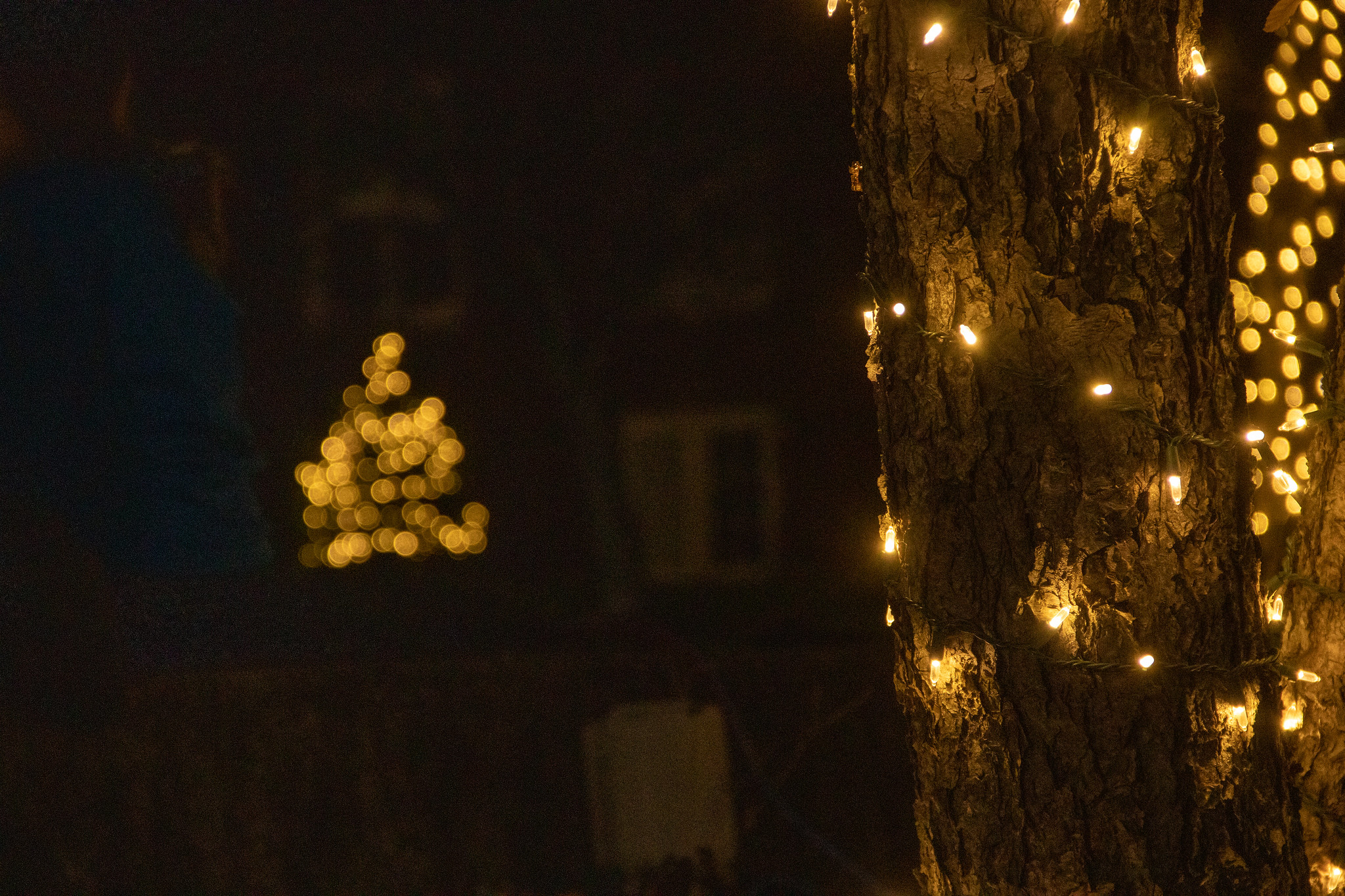 Celebration of Light