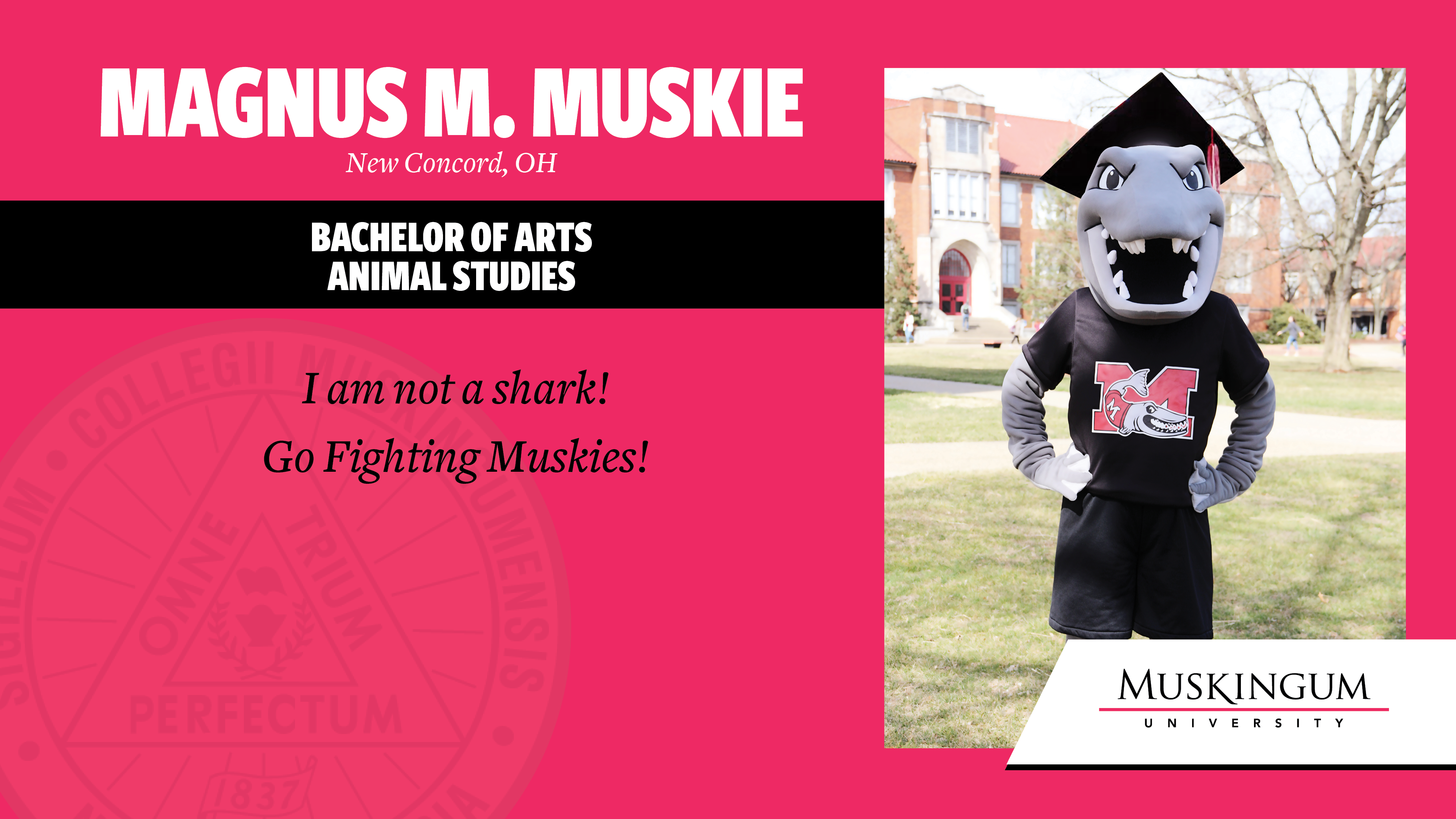 example slide featuring magnus the muskie
