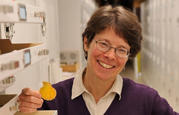 Dr Susan Kidwell in a lab setting, holding a seashell, smiling for the camera