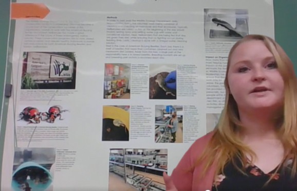 Animal Studies student capstone poster session 