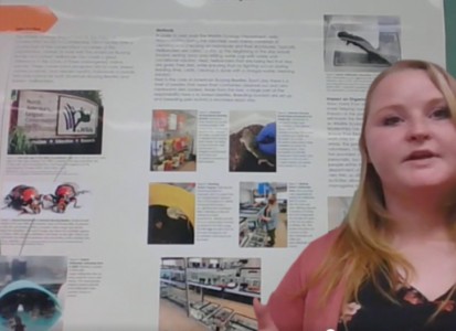 Animal Studies student capstone poster session 