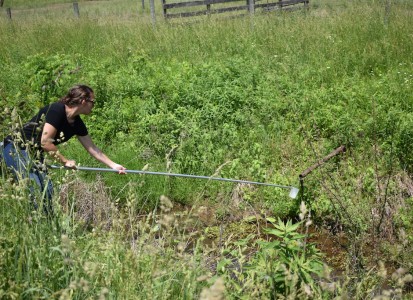 Emily Hoffmann '18 collects a water sample.